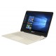 ASUS ZenBook UX360CA